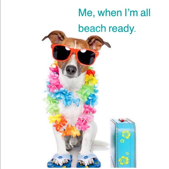 Shoes - 🌸Flip Flops🌼